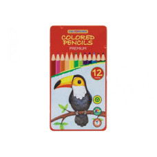 Набір кольорових олівців CFS Premium "Папуга" 12шт тригранні з місцем д/підпису в метал пеналі